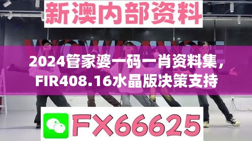 2024管家婆一码一肖资料集，FIR408.16水晶版决策支持