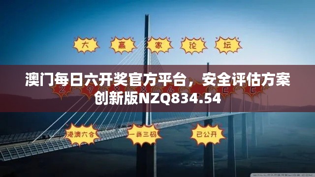 澳门每日六开奖官方平台，安全评估方案创新版NZQ834.54