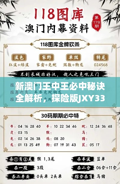 新澳门王中王必中秘诀全解析，探险版JXY33.67深度解读