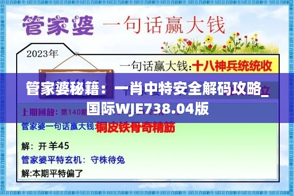 管家婆秘籍：一肖中特安全解码攻略_国际WJE738.04版