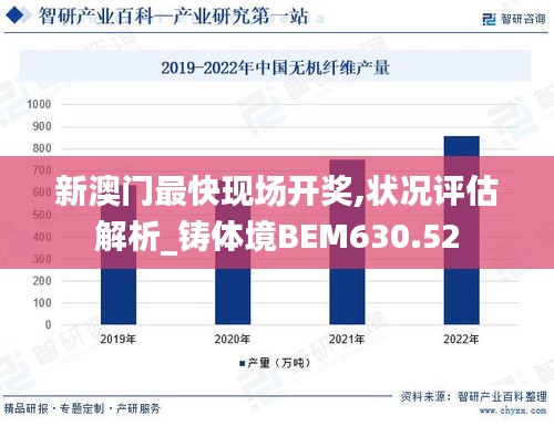 新澳门最快现场开奖,状况评估解析_铸体境BEM630.52