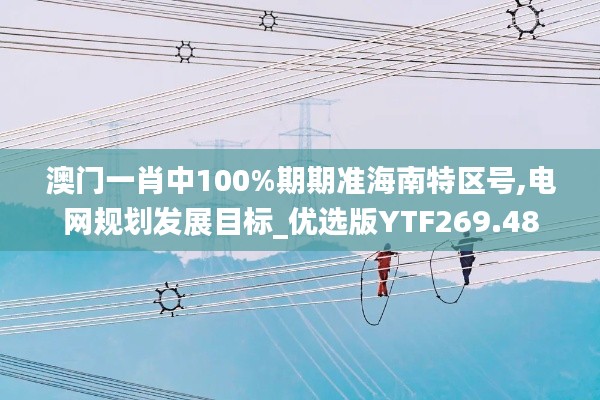 澳门一肖中100%期期准海南特区号,电网规划发展目标_优选版YTF269.48