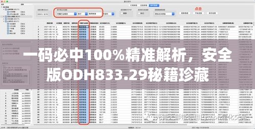 一码必中100%精准解析，安全版ODH833.29秘籍珍藏