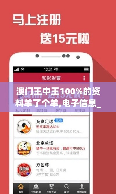 澳门王中王100%的资料羊了个羊,电子信息_大成VKS312.97