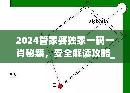 2024管家婆独家一码一肖秘籍，安全解读攻略_魔力数据库DBQ224.79