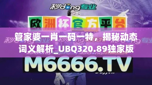 管家婆一肖一码一特，揭秘动态词义解析_UBQ320.89独家版