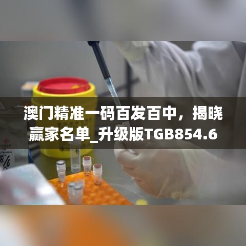 澳门精准一码百发百中，揭晓赢家名单_升级版TGB854.67