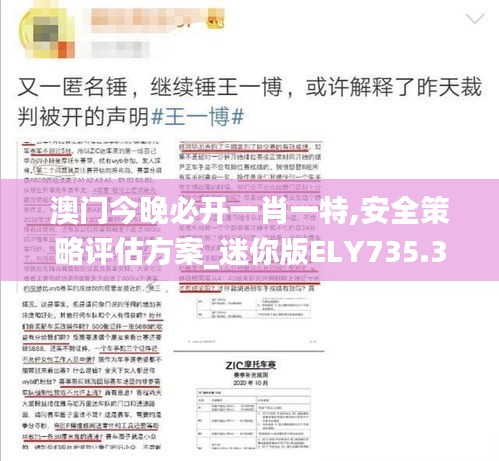 澳门今晚必开一肖一特,安全策略评估方案_迷你版ELY735.35