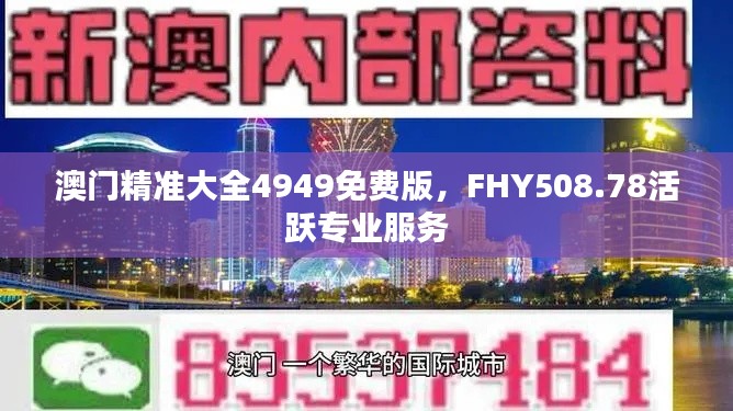 澳门精准大全4949免费版，FHY508.78活跃专业服务