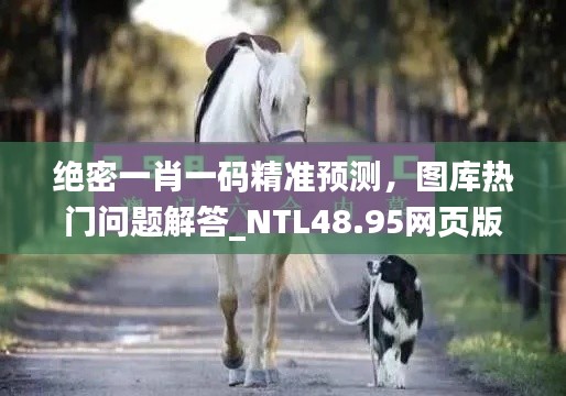 绝密一肖一码精准预测，图库热门问题解答_NTL48.95网页版