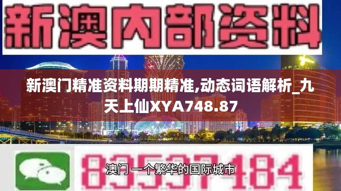 新澳门精准资料期期精准,动态词语解析_九天上仙XYA748.87