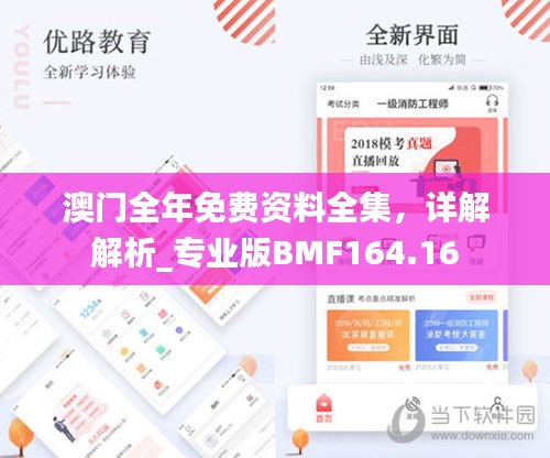 澳门全年免费资料全集，详解解析_专业版BMF164.16