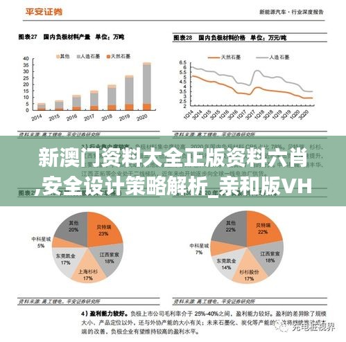 新澳门资料大全正版资料六肖,安全设计策略解析_亲和版VHA943.2