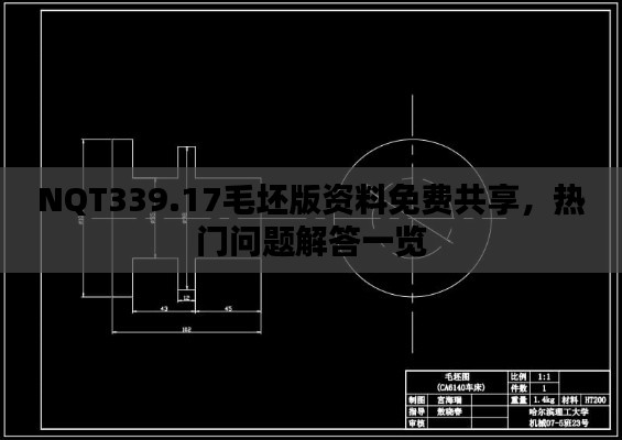 NQT339.17毛坯版资料免费共享，热门问题解答一览