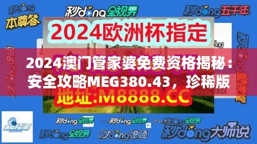 2024澳门管家婆免费资格揭秘：安全攻略MEG380.43，珍稀版来袭