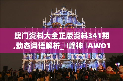 澳门资料大全正版资料341期,动态词语解析_蘋峰神衹AWO199.94