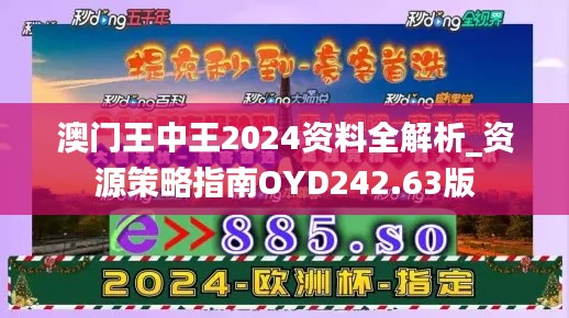 澳门王中王2024资料全解析_资源策略指南OYD242.63版