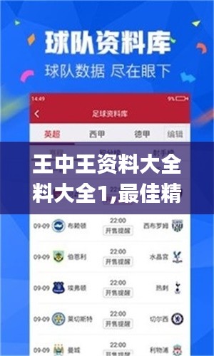 王中王资料大全料大全1,最佳精选解释定义_冒险版YTZ439.45