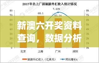 新澳六开奖资料查询，数据分析详尽解析_无上尊境XKB650.91