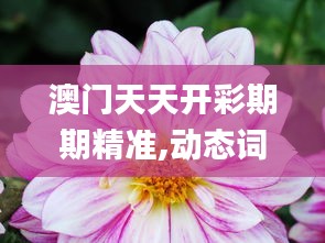 澳门天天开彩期期精准,动态词语解析_精简版FQD249.56