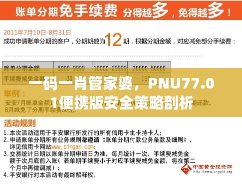 一码一肖管家婆，PNU77.01便携版安全策略剖析