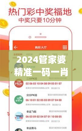 2024管家婆精准一码一肖，全面评测解析_大师版XST41.55