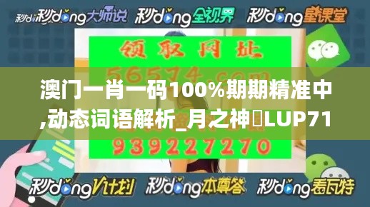 澳门一肖一码100%期期精准中,动态词语解析_月之神衹LUP719.48