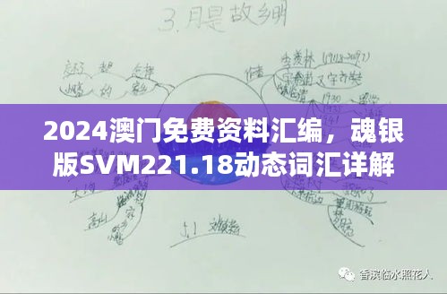 2024澳门免费资料汇编，魂银版SVM221.18动态词汇详解