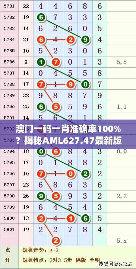 澳门一码一肖准确率100%？揭秘AML627.47最新版答案定义