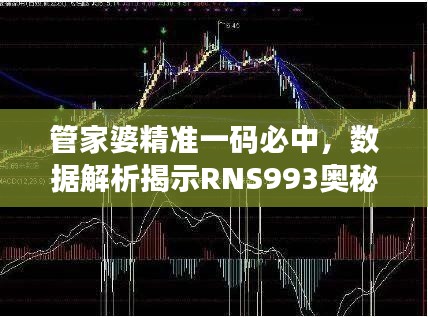 管家婆精准一码必中，数据解析揭示RNS993奥秘