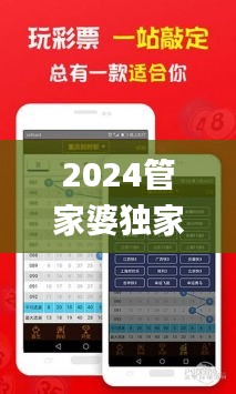 2024管家婆独家一码一肖秘籍，正版解析揭晓_游戏BTP977.81版