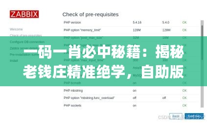 一码一肖必中秘籍：揭秘老钱庄精准绝学，自助版解析详解_IUY103.47