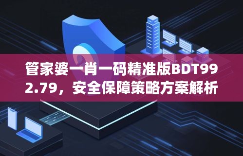 管家婆一肖一码精准版BDT992.79，安全保障策略方案解析