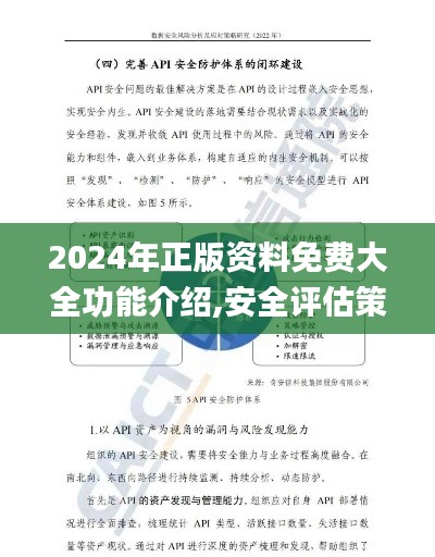 2024年正版资料免费大全功能介绍,安全评估策略_速成版NVH8.24