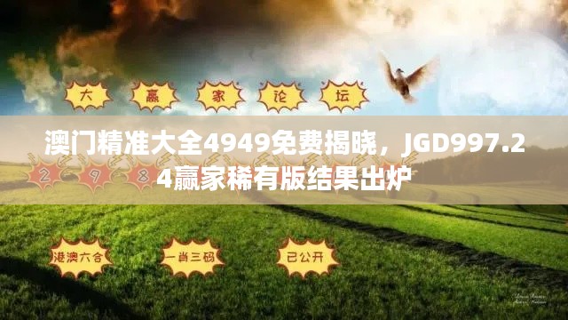 澳门精准大全4949免费揭晓，JGD997.24赢家稀有版结果出炉