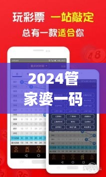 2024管家婆一码一肖资料，正版解析指南_BTP977.81游戏版