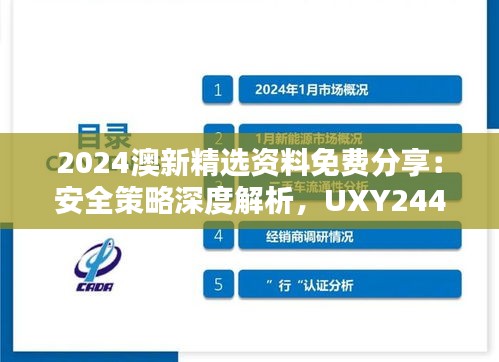 2024澳新精选资料免费分享：安全策略深度解析，UXY244.24优选版