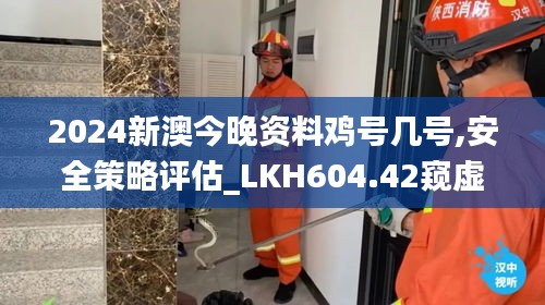 2024新澳今晚资料鸡号几号,安全策略评估_LKH604.42窥虚境