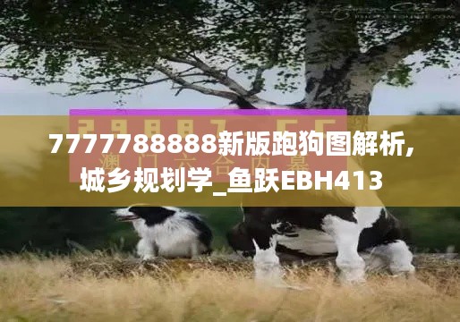 7777788888新版跑狗图解析,城乡规划学_鱼跃EBH413