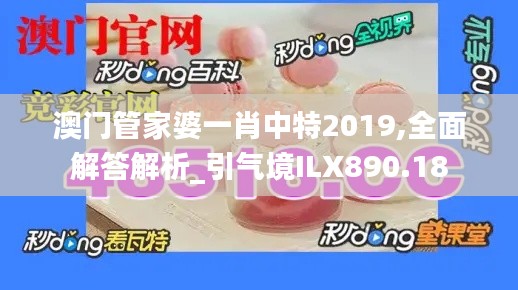 澳门管家婆一肖中特2019,全面解答解析_引气境ILX890.18