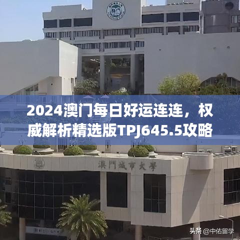 2024澳门每日好运连连，权威解析精选版TPJ645.5攻略指南