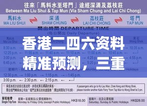 香港二四六资料精准预测，三重保障详规全新诠释_特供版VUB101.81