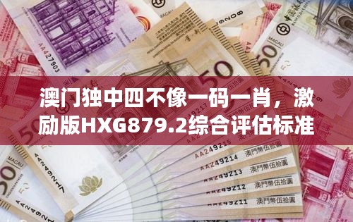 澳门独中四不像一码一肖，激励版HXG879.2综合评估标准