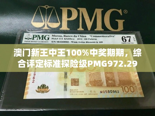 澳门新王中王100%中奖期期，综合评定标准探险级PMG972.29