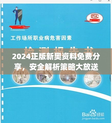 2024正版新奥资料免费分享，安全解析策略大放送_含JDI377.89内附版