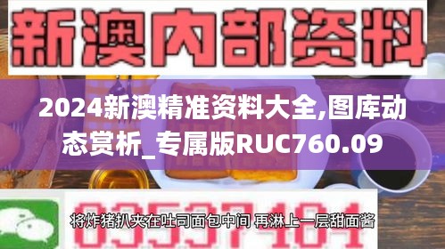 2024新澳精准资料大全,图库动态赏析_专属版RUC760.09