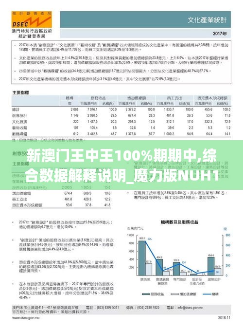 新澳门王中王100%期期中,综合数据解释说明_魔力版NUH141.19