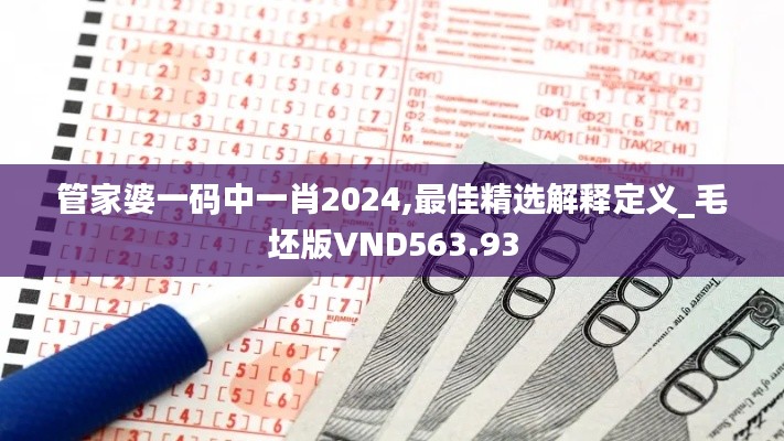 管家婆一码中一肖2024,最佳精选解释定义_毛坯版VND563.93