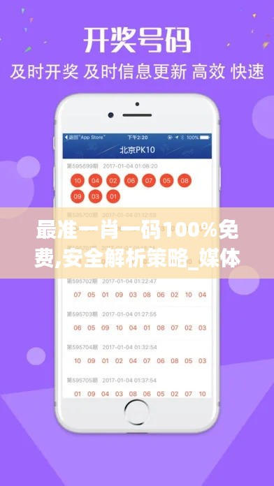 最准一肖一码100%免费,安全解析策略_媒体版PJU50.97