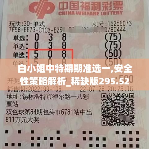 白小姐中特期期准选一,安全性策略解析_稀缺版295.52